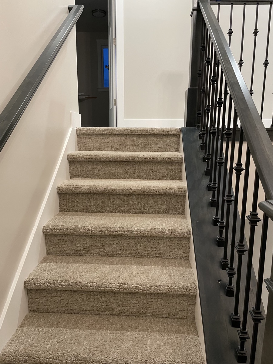 Carpeted staircase with dark wood and metal railing
